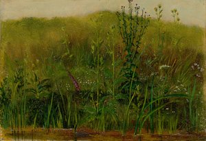Planten op de oever door Christian Friedrich Gille