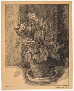 Bloempot met primula door Christian Kongstad Petersen