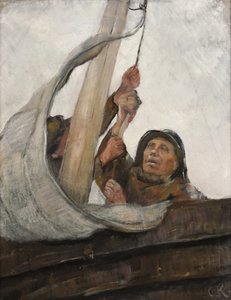 Zeilen