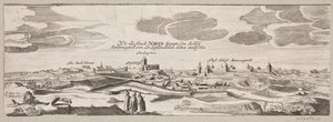Gezicht op Narva