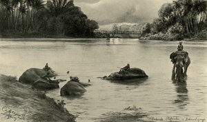 Olifanten badend in de Mahaweli-rivier, Ceylon door Christian Wilhelm Allers