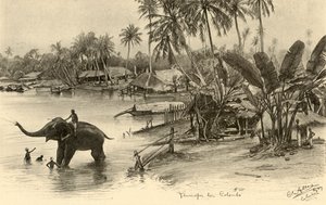 Een olifant wassen in de rivier, Colombo, Ceylon, 1898