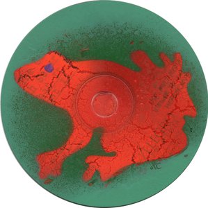 Kikker c.2023 door Christina Saj