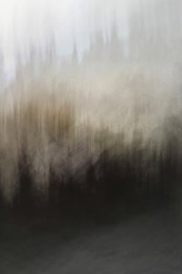Samenvatting: Rust in het bos door Christina Sillen