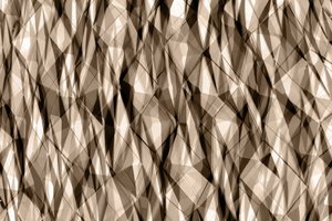 Abstract: Sepia-geometrie