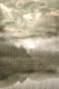 door Christina Sillen