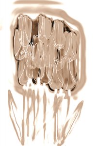 Verfijnde sepia-bloemen