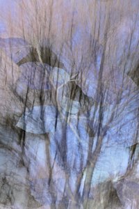 Dromerig blauw bos door Christina Sillen