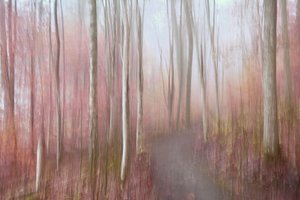  door Christina Sillen