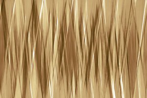 Dynamische gouden strepen door Christina Sillen