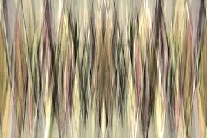 Aardse abstracte lijnen door Christina Sillen