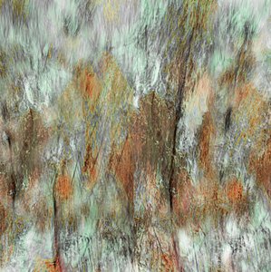  door Christina Sillen