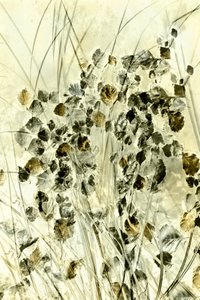 Etherische botanische vormen door Christina Sillen
