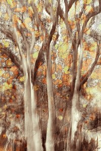 Gouden herfstbos door Christina Sillen