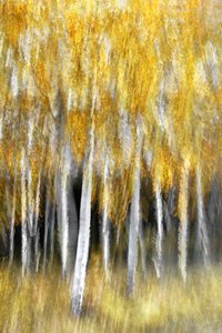  door Christina Sillen