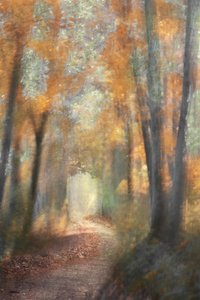  door Christina Sillen