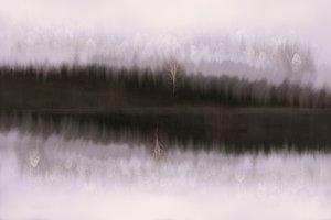 Misty Birch Reflectie