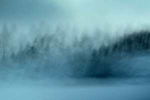  door Christina Sillen