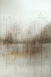 Weerspiegelingen in het mistige bos door Christina Sillen