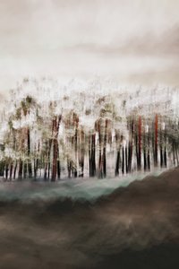 De rust van het mistige bos door Christina Sillen