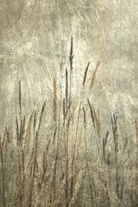  door Christina Sillen