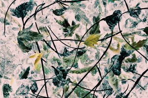 Gestileerde herfstbladeren door Christina Sillen