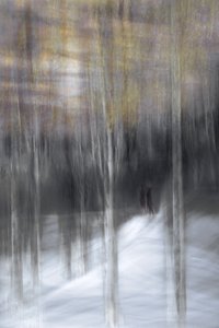 Wandeling door het winterse bos door Christina Sillen