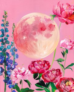Dromerige roze maanbloemen door Christine Lindstrom