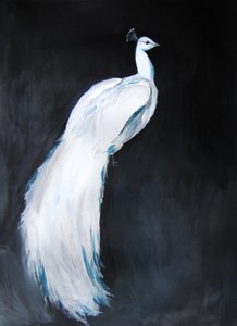 Elegante witte pauw door Christine Lindstrom