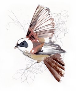 Vliegende aquarelvogel door Christine Lindstrom