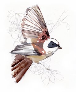 Vliegende aquarelvogel door Christine Lindstrom