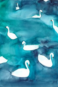 Sierlijke zwanen op het water door Christine Lindstrom