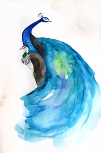 Majestueuze blauwe pauw door Christine Lindstrom