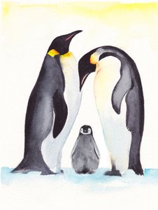 Familiefoto van pinguïns door Christine Lindstrom