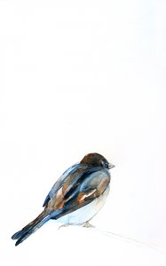 Aquarel van een zittende mus door Christine Lindstrom