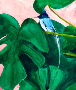 Tropische vogel op een Monstera-blad