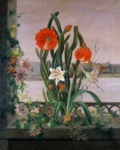 Stilleven van cactus, lelies en passiebloemen op de vensterbank. Schilderij van Christine Marie Lovmand (1803-1872). Privécollectie. door Christine Lovmand