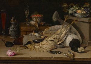 Stilleven met dode vogels