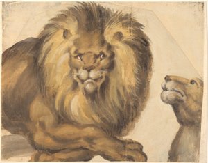 Een mannelijke leeuw en een vrouwelijke leeuwenkop door Christoph Amberger
