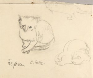 Katten