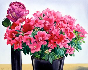 Azalea Roos door Christopher Ryland