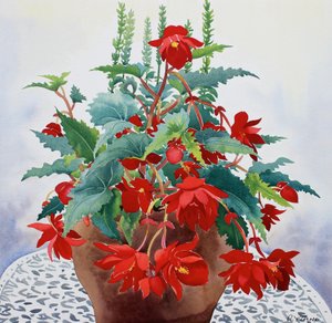 Begonia door Christopher Ryland