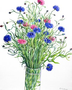 Korenbloemen door Christopher Ryland