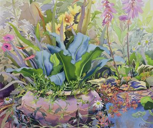Tuin met planten door Christopher Ryland