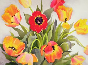 Oranje en Rode Tulpen door Christopher Ryland