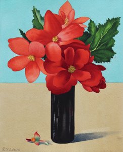 Rode Begonia