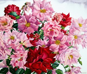 Rode en roze rozen