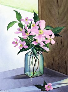 Stilleven met roze clematis