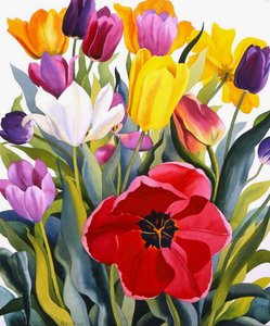 Tulpen, 2007