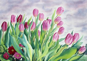 Tulpen bij raam